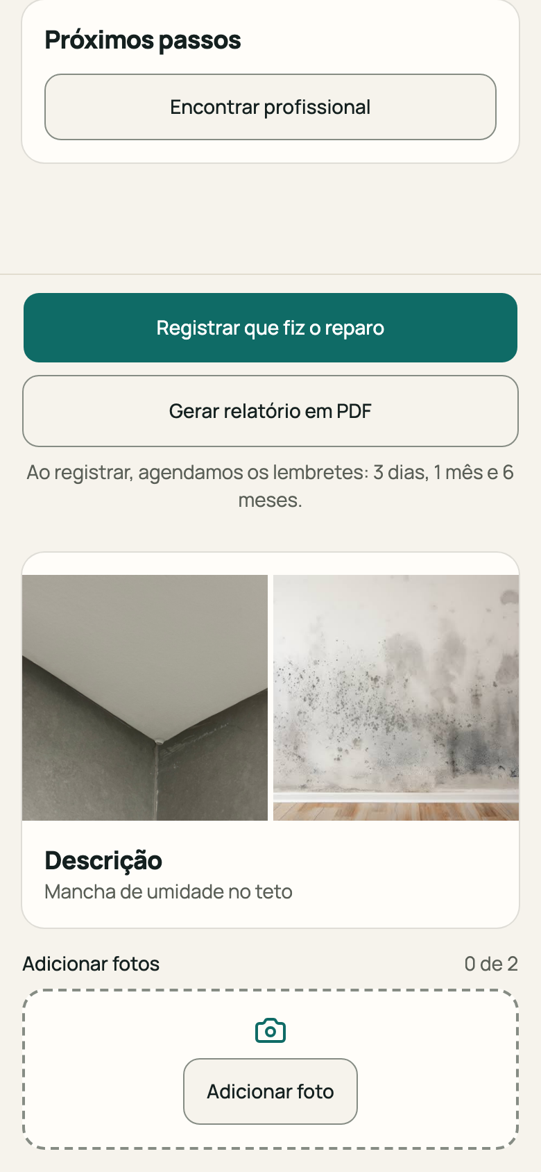 Botão “Gerar relatório em PDF”