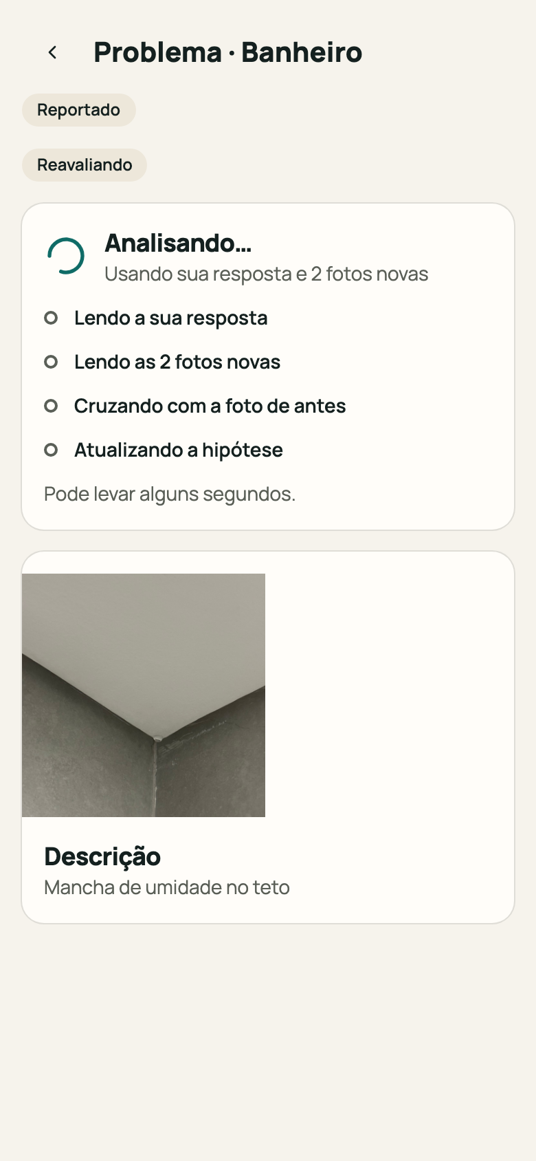 Tela do problema com “Analisando…”