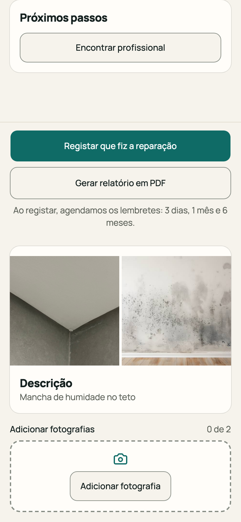 Botão «Gerar relatório em PDF»