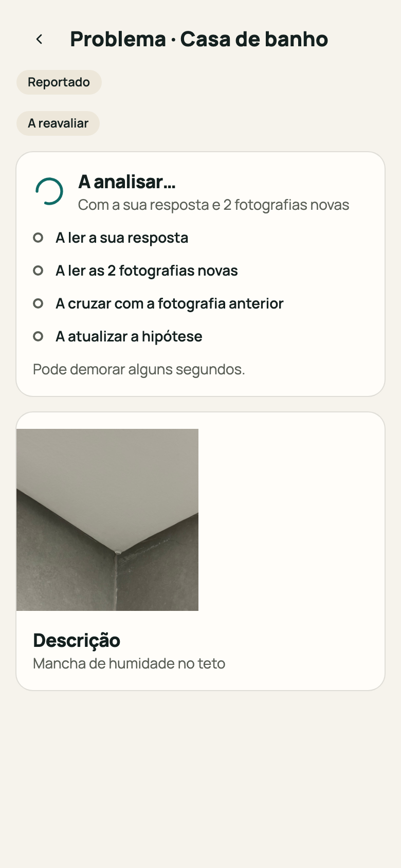 Ecrã do problema com «A analisar…»